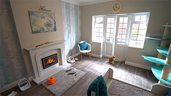 Eucalyptus or duck egg colour-themed cat suite showing most of the room, including fireplace, doors and windows, large bed and play wall.