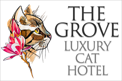 Our logo - on the left is a watercolour portrait of a Bengal cat head, on the right it says: The Grove Cat Hotel.