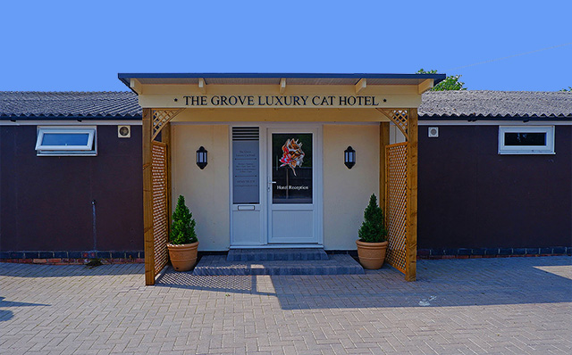 Cattery entrance to reception.