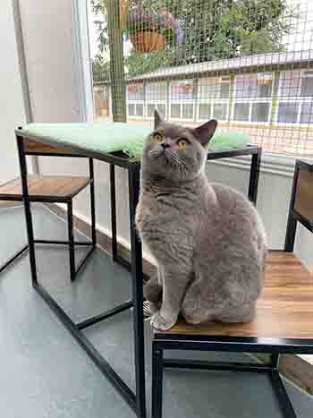 Theodore looking gorgeous