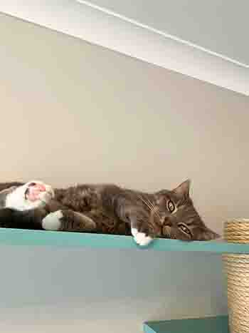 xatie Bramble Poppy & pepper