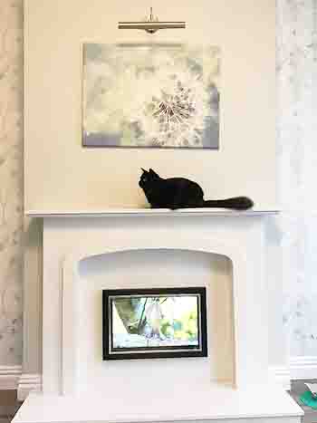 Black cat resting on the mantlepiece