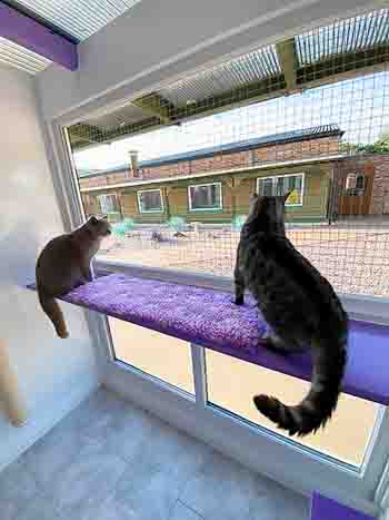 Freddie and Seb looking out at the garden