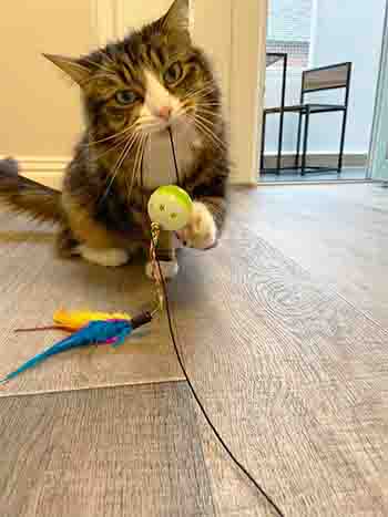 Keith caught the ball!