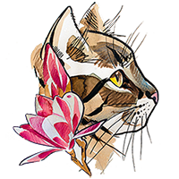 Our emblem, a watercolour portrait of a Bengal cat's head.
